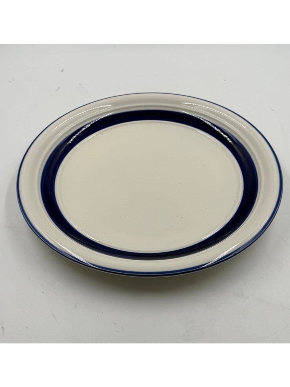 Set of 4 Country Crock Blue by Tienshan Dinner Plates 10-3/4